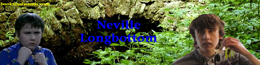 Neville Longbottom, Gryffindor, Banner