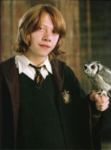 Ron and Pig, a match made in heaven